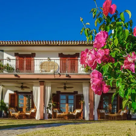 La Rosa De Vientos Costa Adeje (Tenerife)